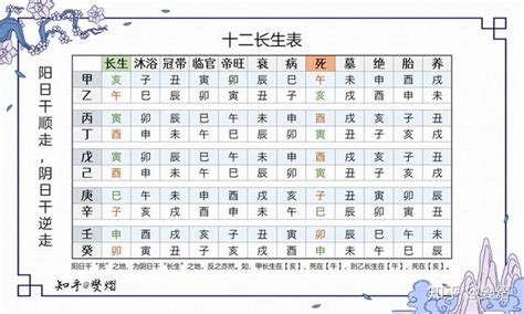 五行十二长生|十二长生表（图）详解，五行十二宫运程表解读